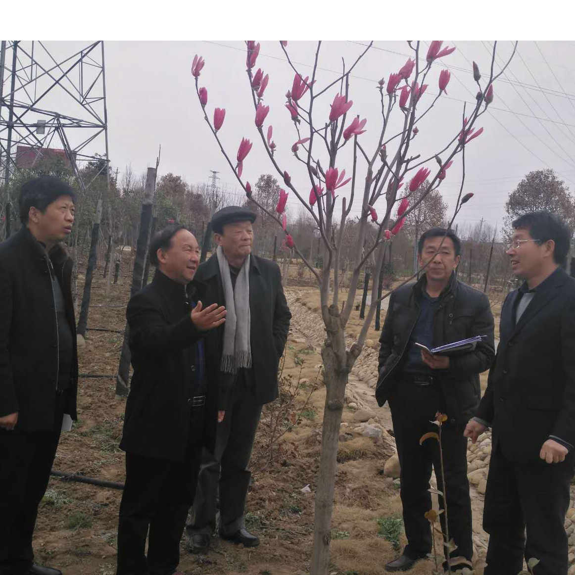 韵玺古建案例-94